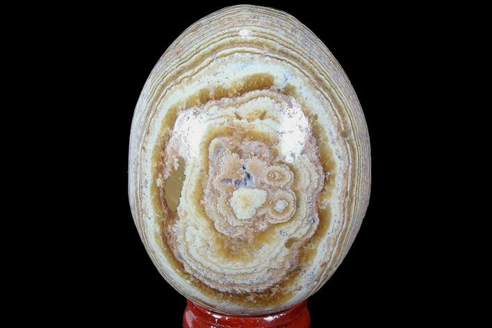 Polished, Banded Aragonite Egg - Morocco #98443